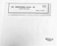 Image Associated With the Occurence